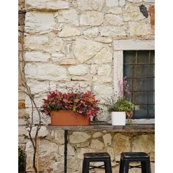 Teraplast Fioriera Paros Eco Green- Fioriere In Plastica|Fioriere In Plastica
