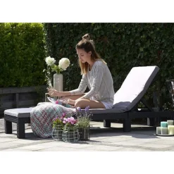 Keter Lettino Sdraio Con Cuscino DAYTONA Grafite- Divani E Set Da Giardino|Divani E Set Da Giardino