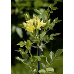 Stocker Jutec filo di iuta biodegradabile 50 m naturale- Legacci
