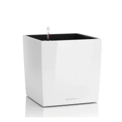 Lechuza Vaso Cube 50 Set Completo- Vasi Quadrati In Resina|Vasi In Resina