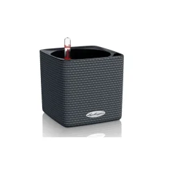 Lechuza Vaso Cube Color 14 Set Completo- Vasi Quadrati In Resina|Vasi In Resina