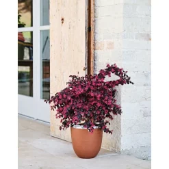 Teraplast Vaso Over Eco Green- Vasi Eco Green|Vasi Tondi In Plastica