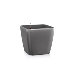 Lechuza Vaso Quadro Premium 50 Set Completo- Premium Collection|Vasi Tondi In Resina