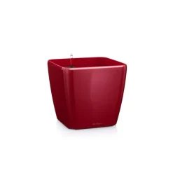Lechuza Vaso Quadro Premium 35 Set Completo- Premium Collection|Vasi Tondi In Resina